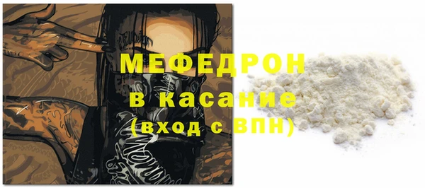 индика Надым