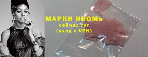 индика Надым