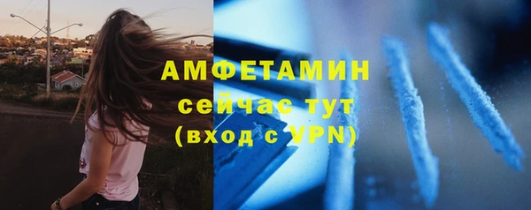 индика Надым