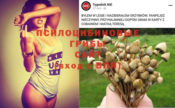 индика Надым