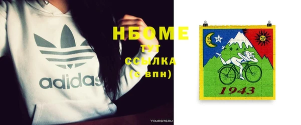 индика Надым