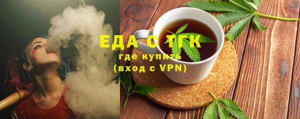 индика Надым