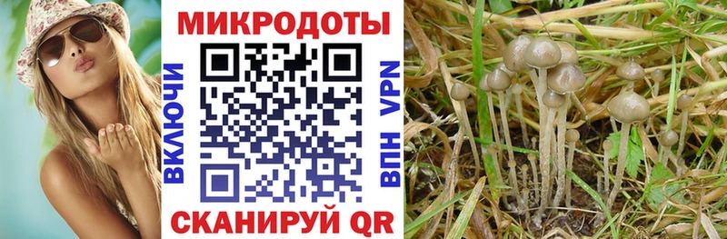 Галлюциногенные грибы мицелий  omg ССЫЛКА  Пудож 